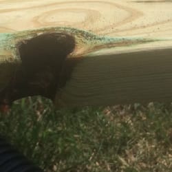 shuttie lumber