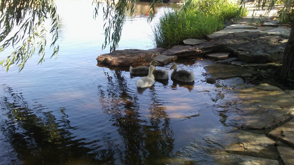 Prairie Hill Vineyard 30 Photos Venues & Event Spaces 21421 W