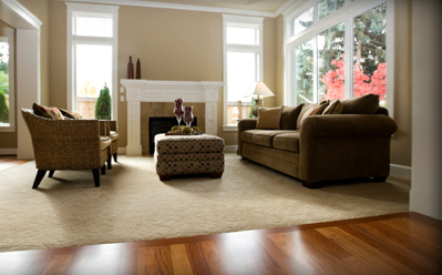 image of business 1st Choice Flooring