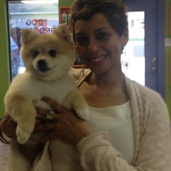 dog grooming flower mound dog grooming flower mound