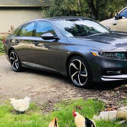 Hansel Honda 29 Photos 238 Reviews Car Dealers 1310 Auto Photo Of Hansel Honda Petaluma Ca United States My Ens Thought