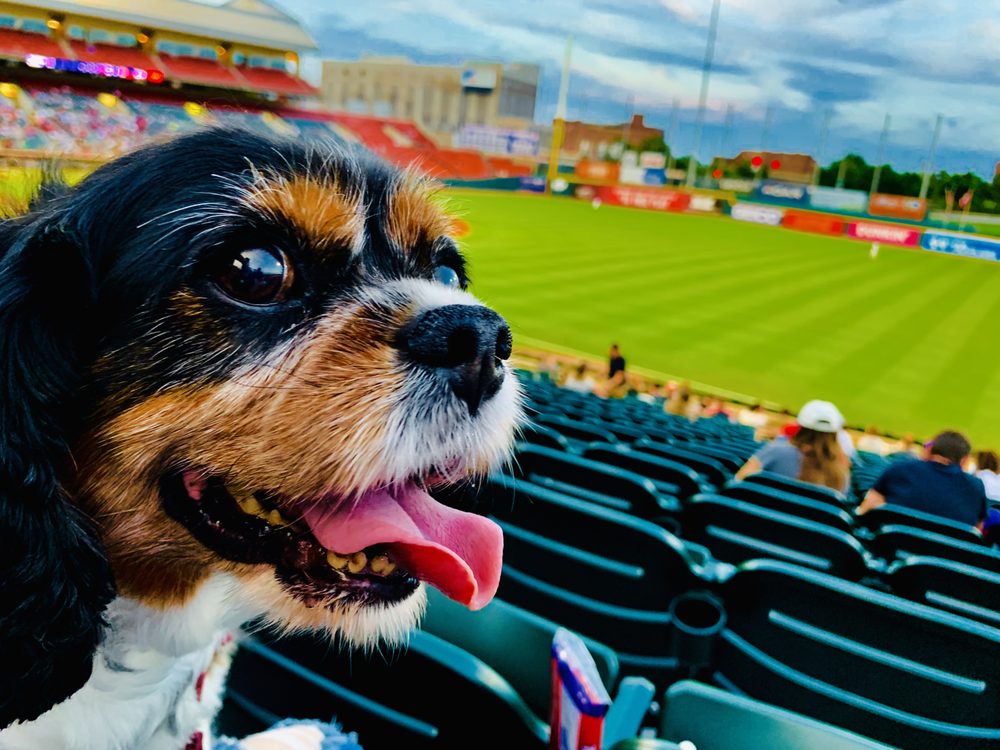 image of business West Seneca Dental Center