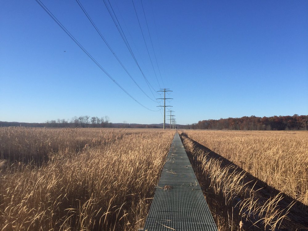Troy Meadows Natural Area Hiking New Edwards Rd, ParsippanyTroy