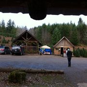 loch lolly christmas forest 13 photos 12 reviews nurseries loch lolly christmas forest