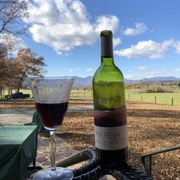 Castle Gruen Vineyards Winery Wineries 1272 Meander Run Rd Revalation Vineyard