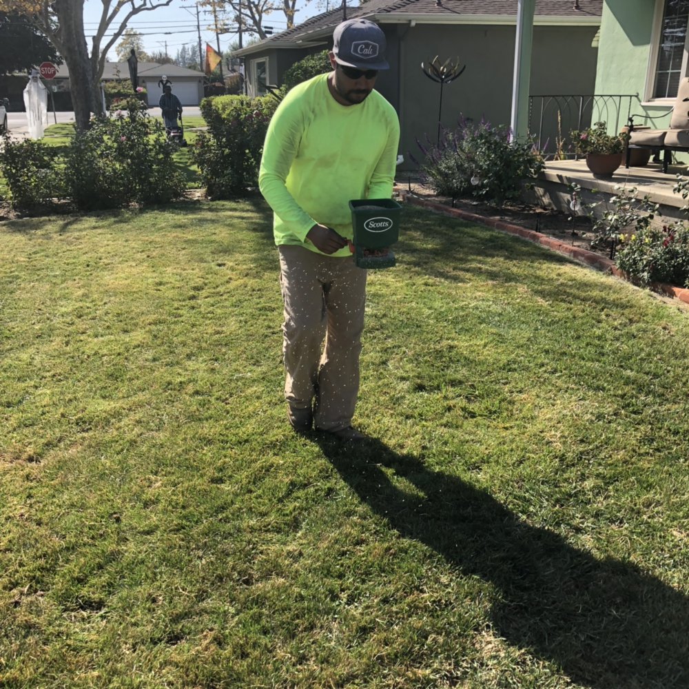 Grass Seeding - Yelp Photo of Eric's Landscaping - Woodland, CA, United States. Grass seeding - Grass Seeding - Yelp