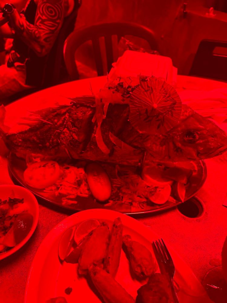 Mamacitas Latin Bar and Grill Mamacitas Latin Bar and Grill