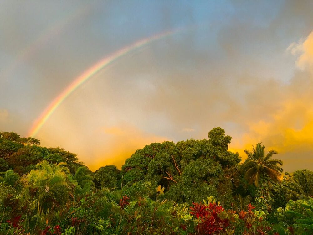 Waiahole Nursery & Garden Center 862 Photos & 27 Reviews Nurseries