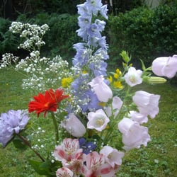 Gartencenter Iserlohn