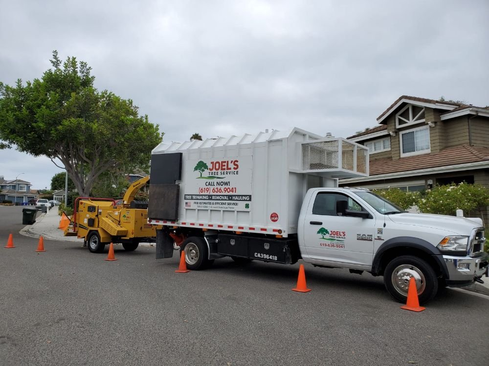 Joel's Tree Service