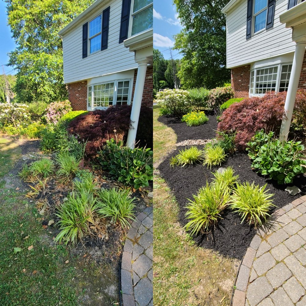 Tim & Did Landscaping