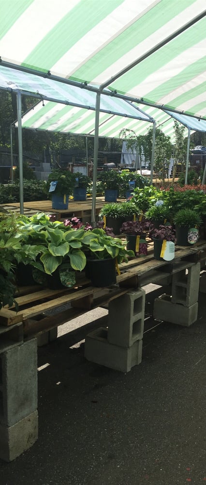 Treeland Garden Center & Nursery