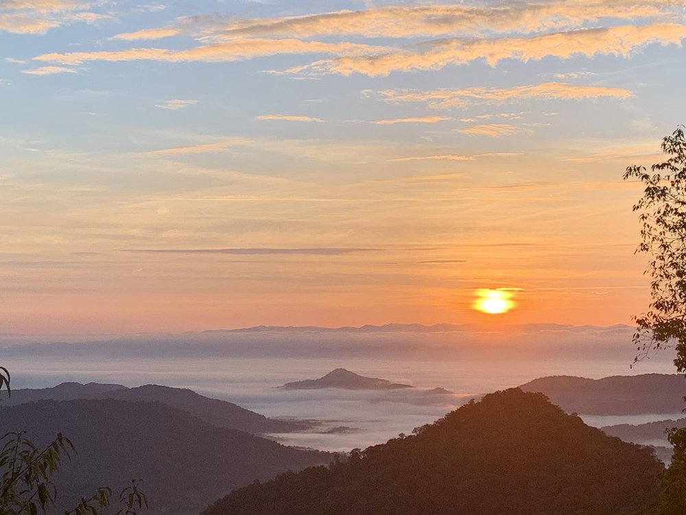 Owners Only Real Estate