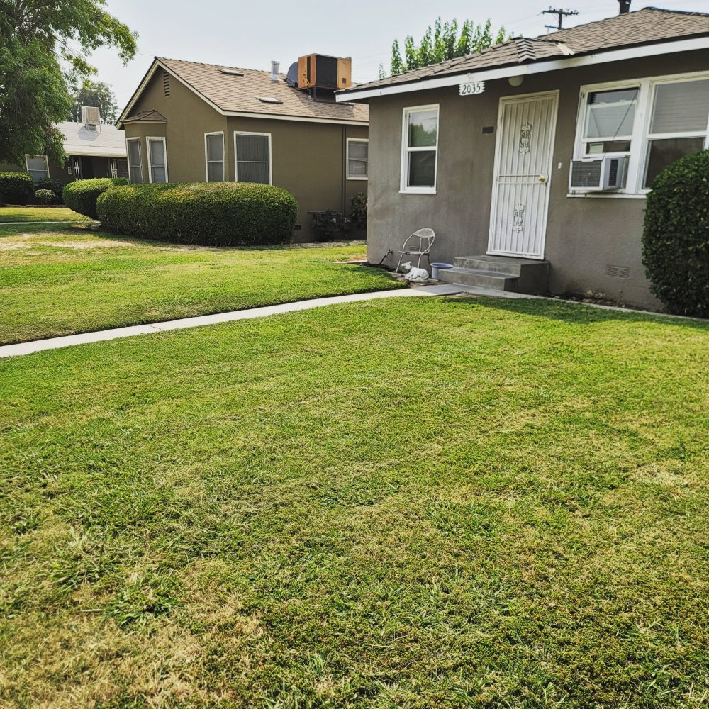 Lazcano Property Maintenance