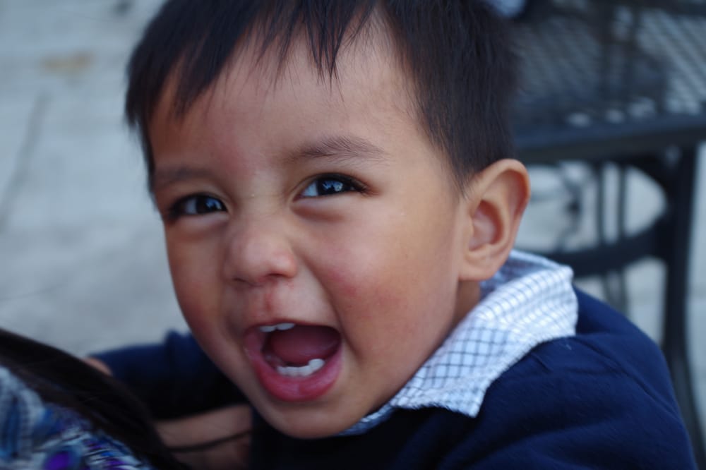 image of business Teodor A Manaois, DDS