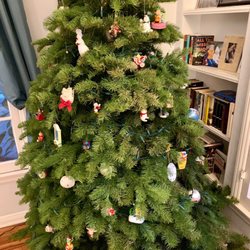 photo of christmas tree lot north hollywood ca united states 9 days .