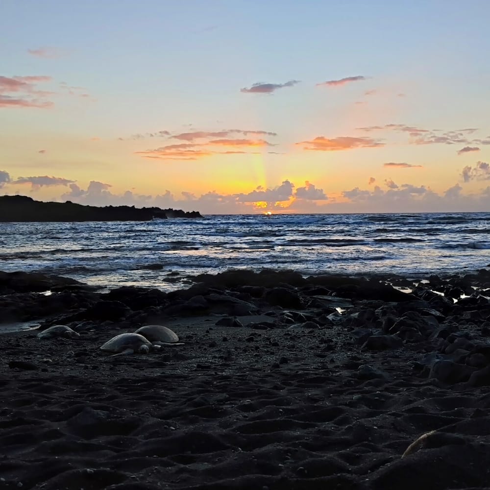Turtle Huts At Punaluu Black Sand Beach 30 Photos Hotels 950789