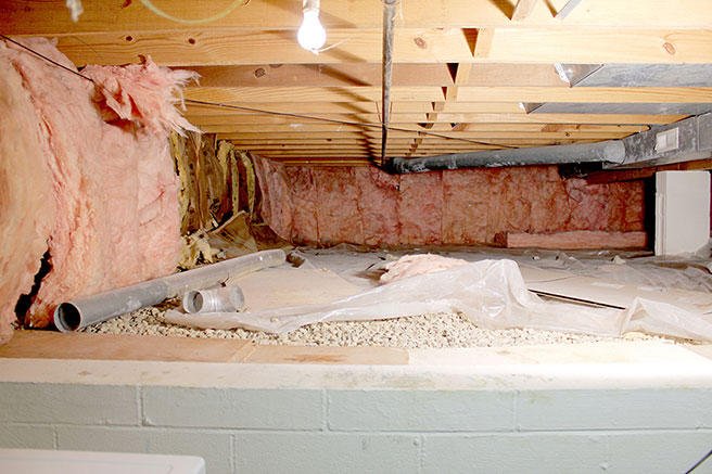 Soggy Bottom Waterproofing