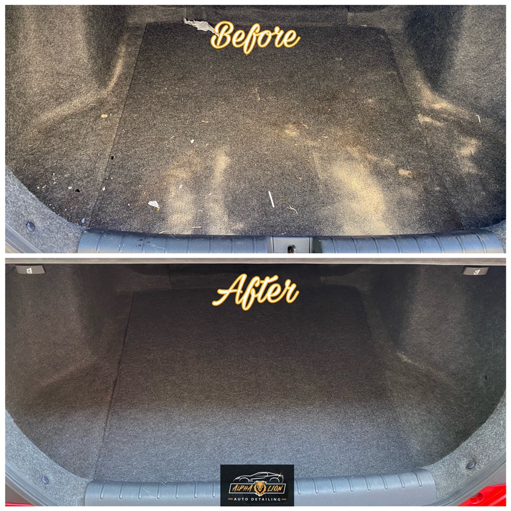 Alpha Lion Auto Detailing