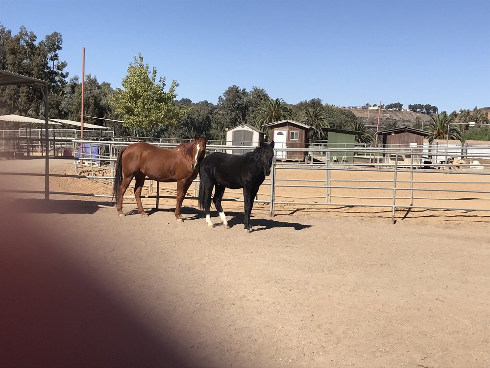 The Lucky 7 Seven Ranch