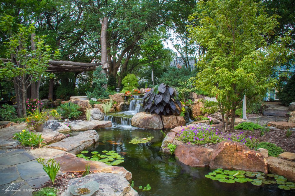 AquaLife Ponds