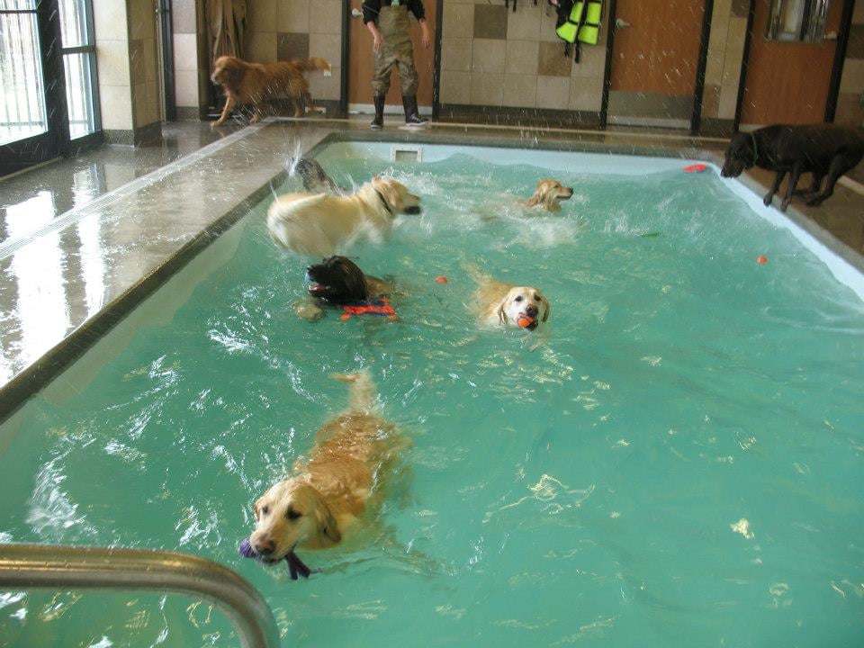 Indoor, heated salt water swimming pool for fun and exercise as well ... Indoor, heated salt water swimming pool for fun and exercise as well ...