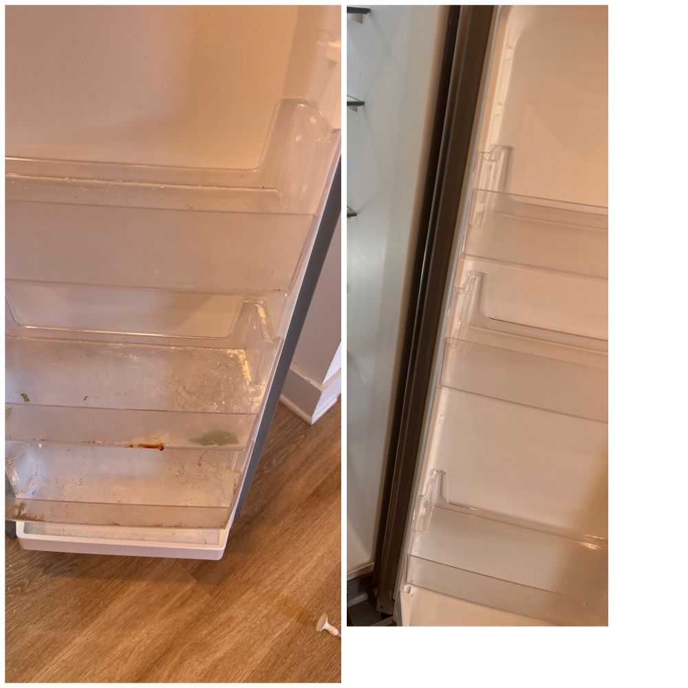 Dust Bunnies Cleaning Services