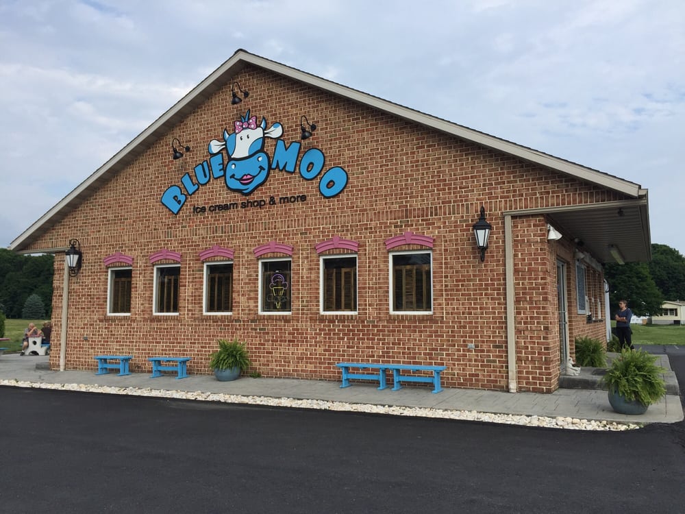 Blue Moo Ice Cream Shop