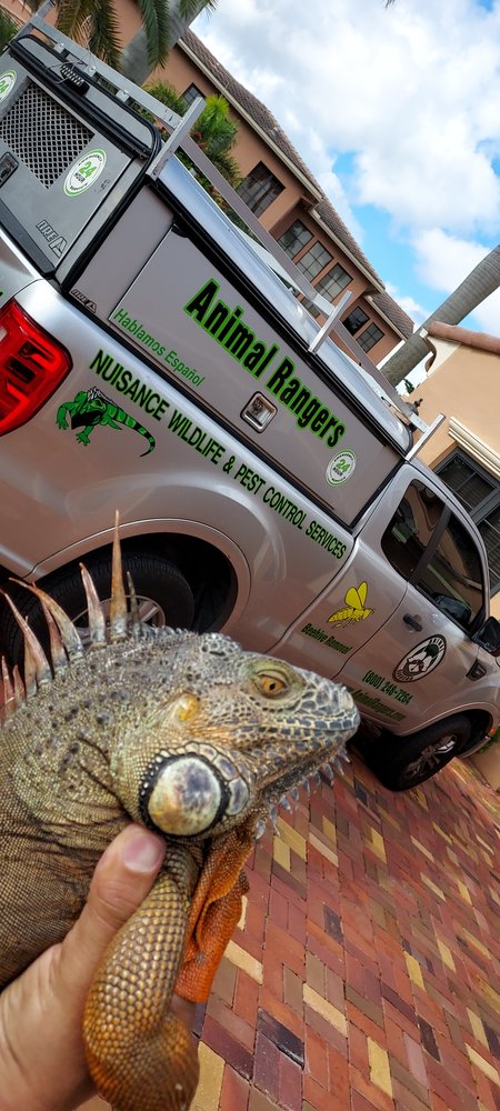 Animal Rangers
