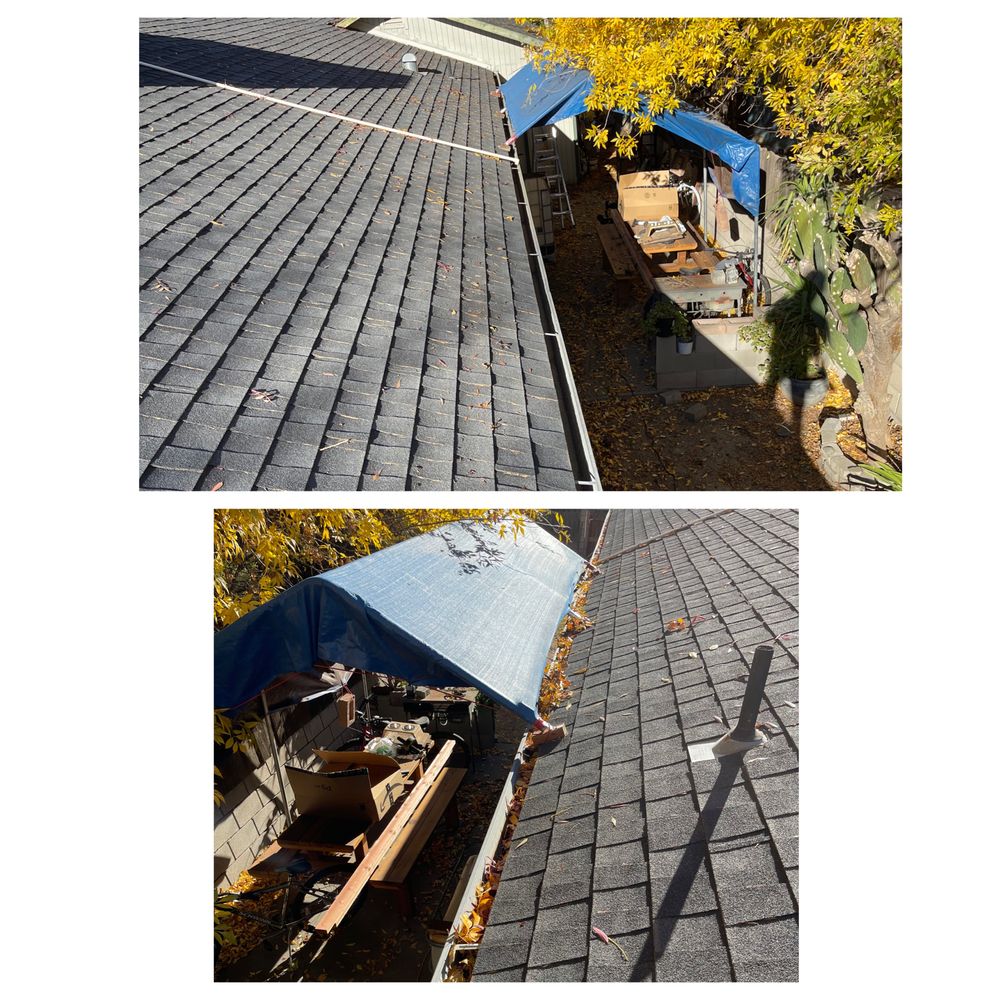 Drain Dogs and Gutters