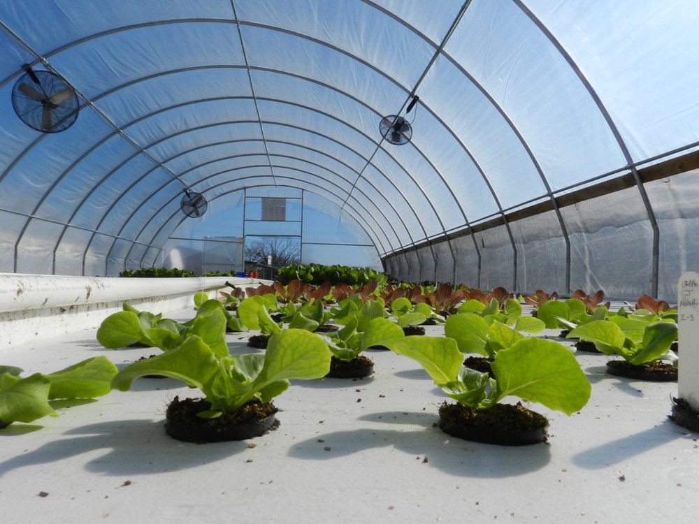 Earth Galley Farms
