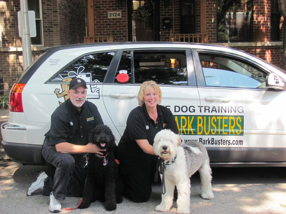Forest City Dog Training Reviews Forest City Dog Training Reviews