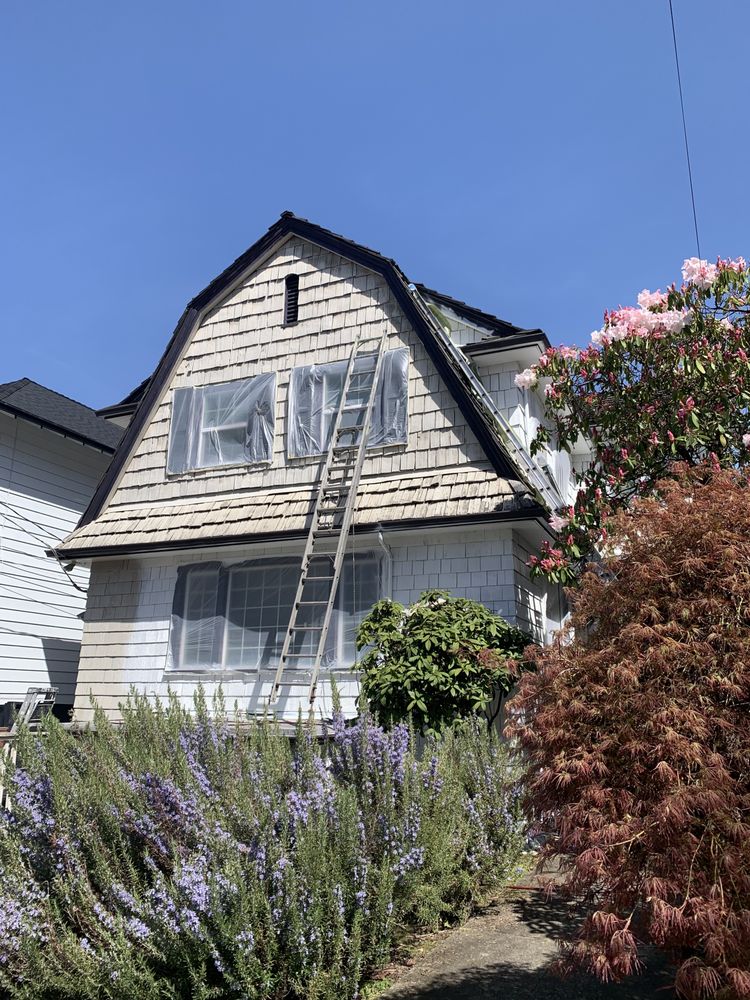 Bellevue PRO Painting