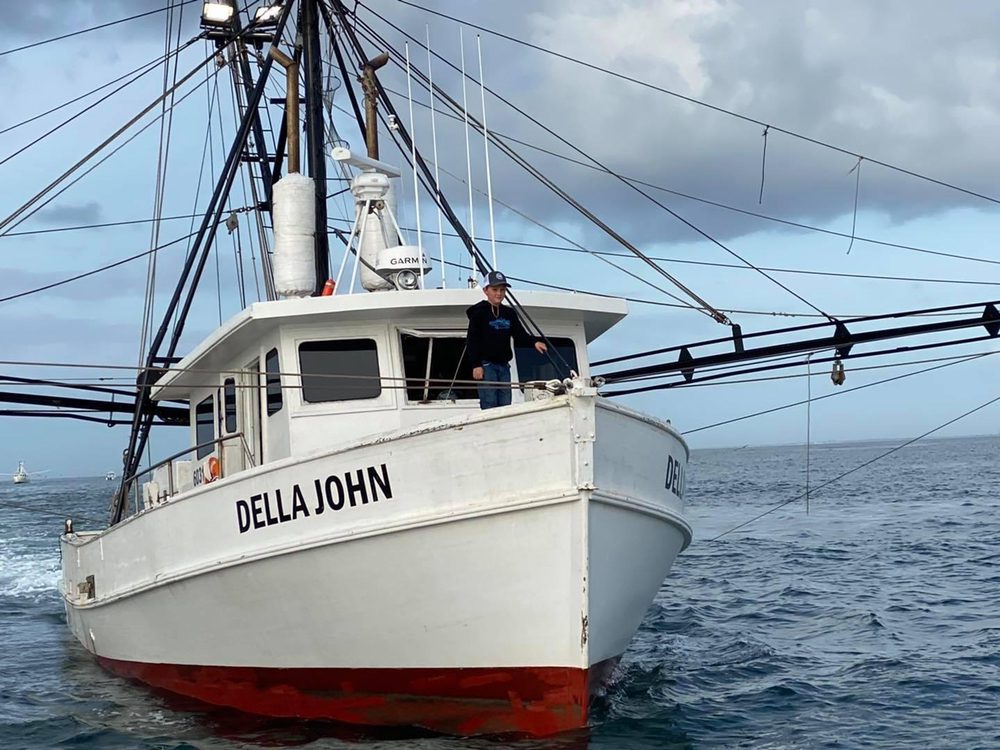 Miss Gina’s Fresh Shrimp