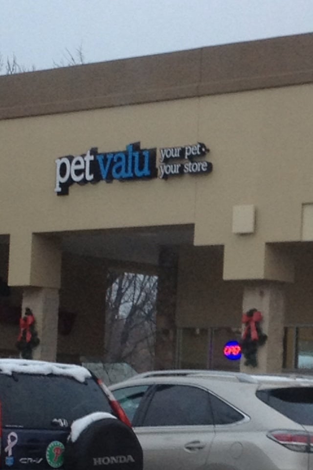 46 Pet City Pets Reviews Stock