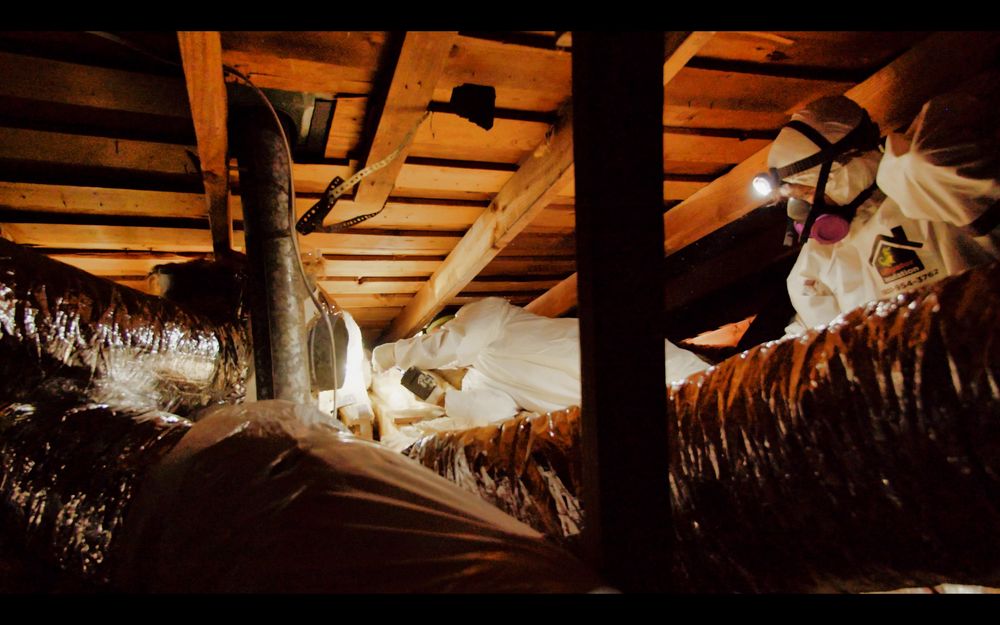 Alligator Insulation