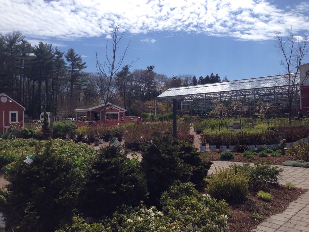 Briggs Nursery 39 Photos & 17 Reviews Nurseries & Gardening 295