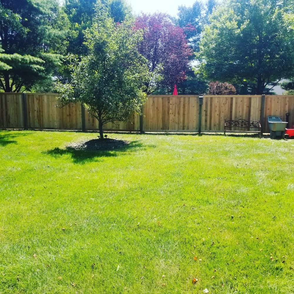 Terra Nova Fence