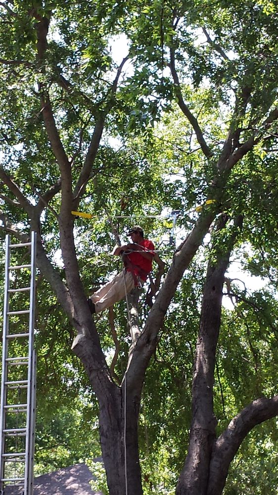 BAKER LANDSCAPE & TREE SVC