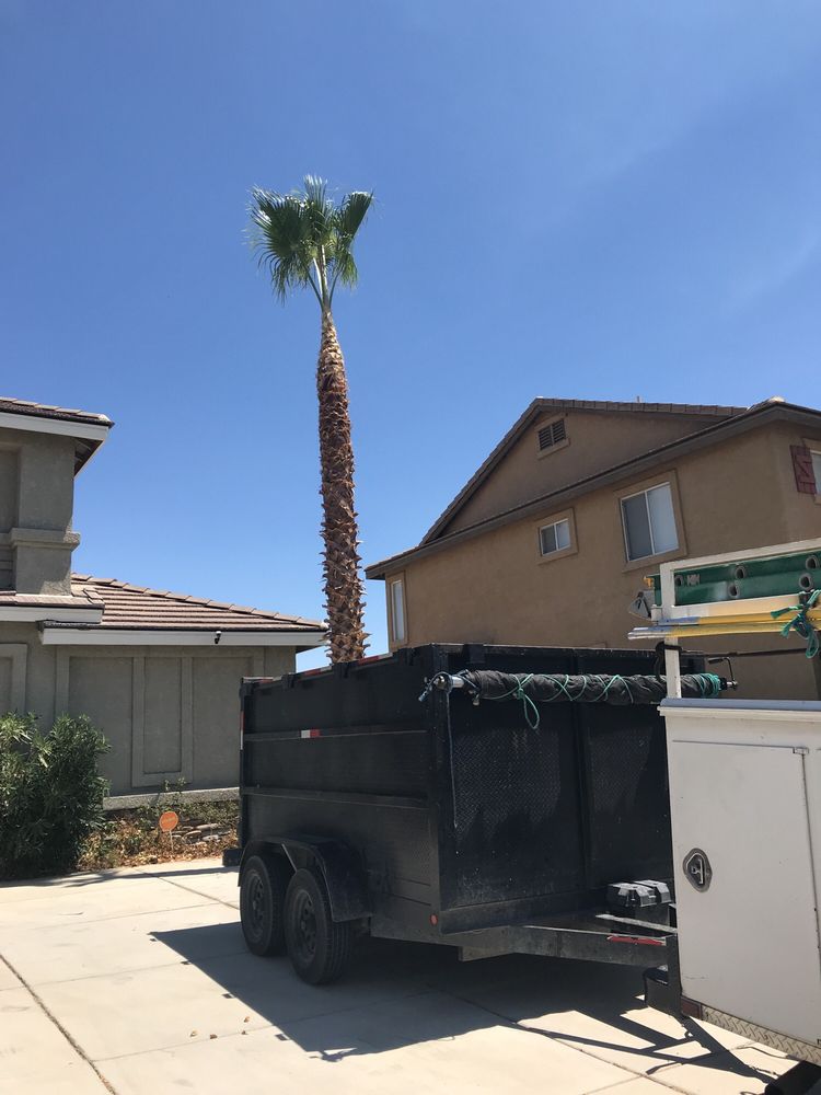 Juan's Tree Services