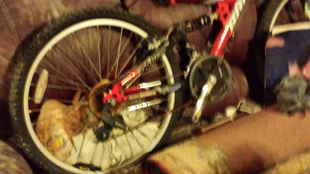 Allied Restoration Specialist