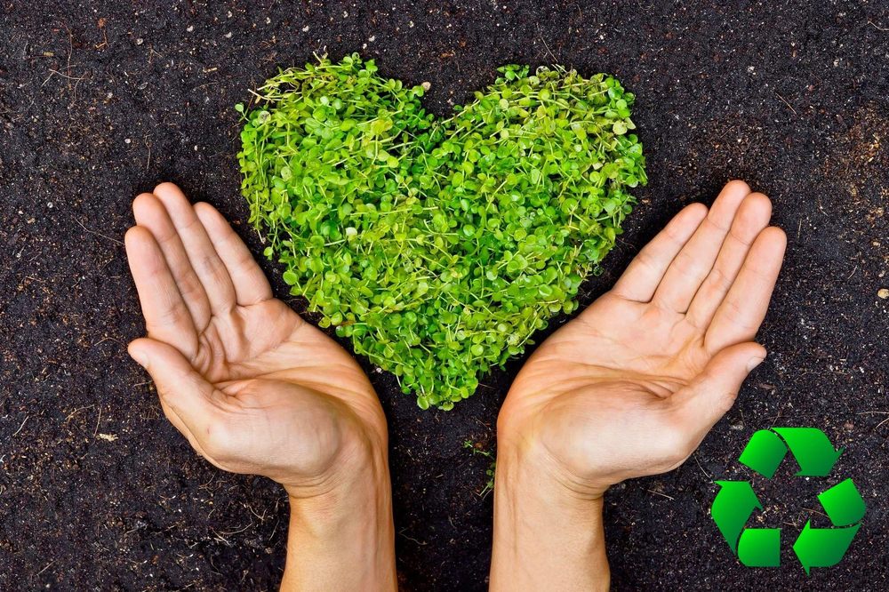 Halo Hauling & Deliveries