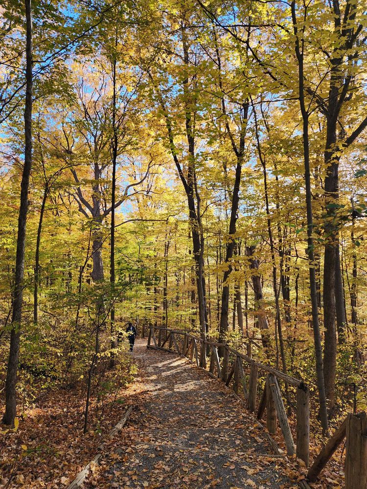 Humber Arboretum