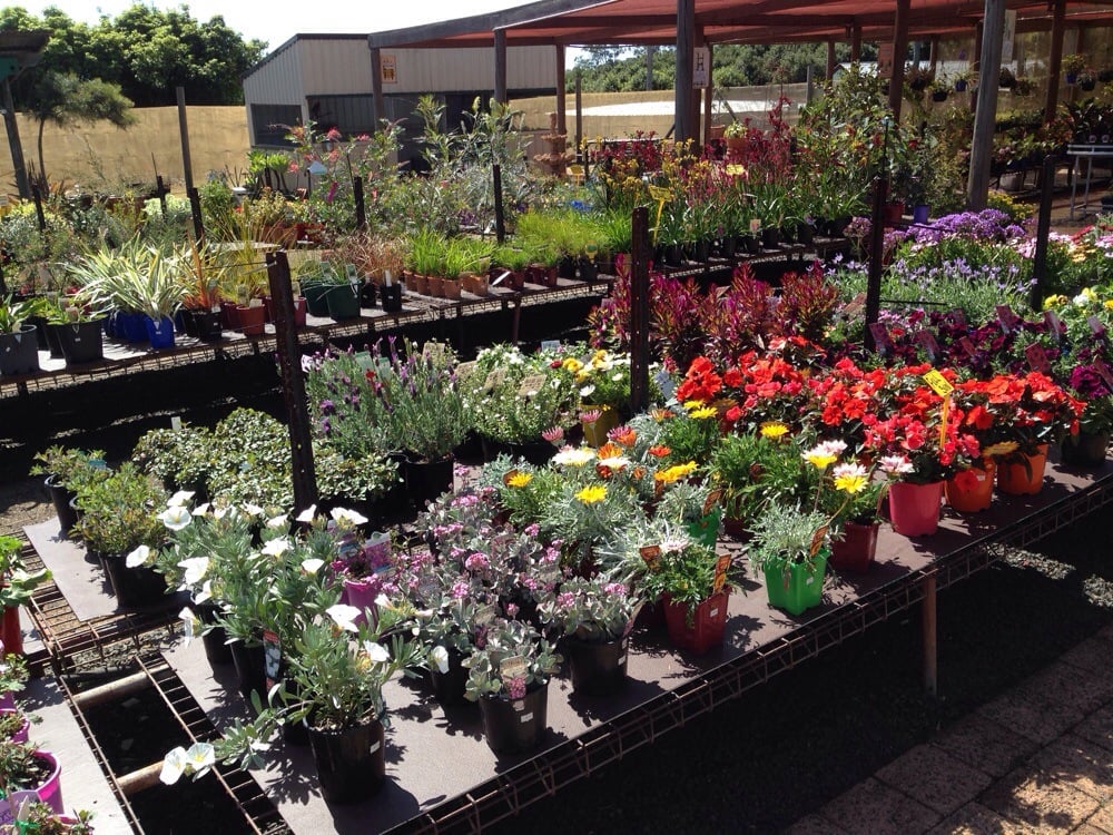 garden centre south wales 28 images garden centres garden centre south wales 28 images garden centres