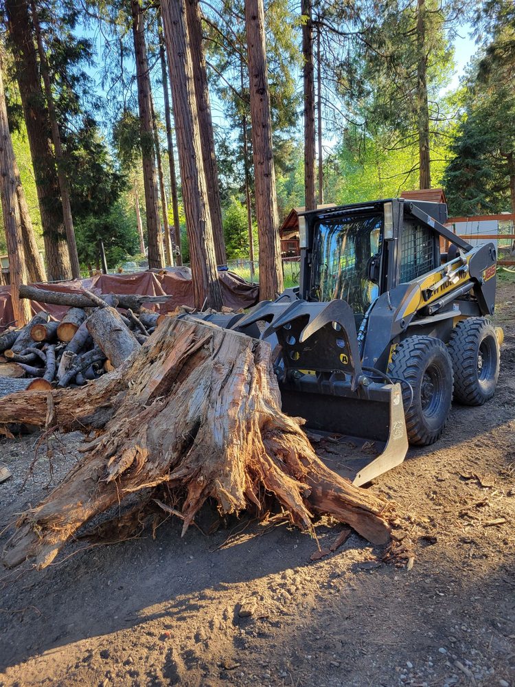 Acumen Tree Service
