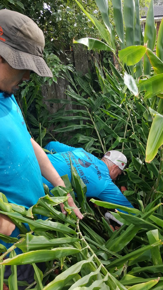 First Choice Sprinkler Repair and Landscape Lighting