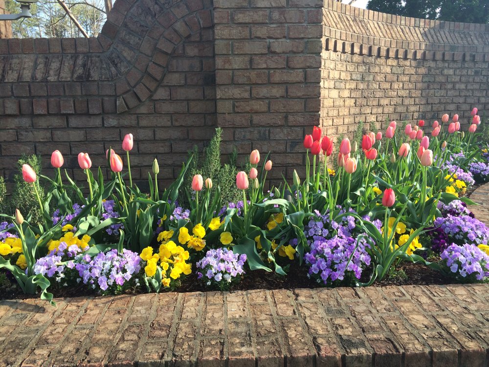 New Garden Landscaping & Nursery