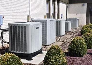 image of business Ives Bros