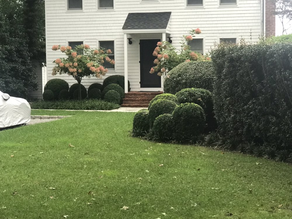 Carlos Landscaping