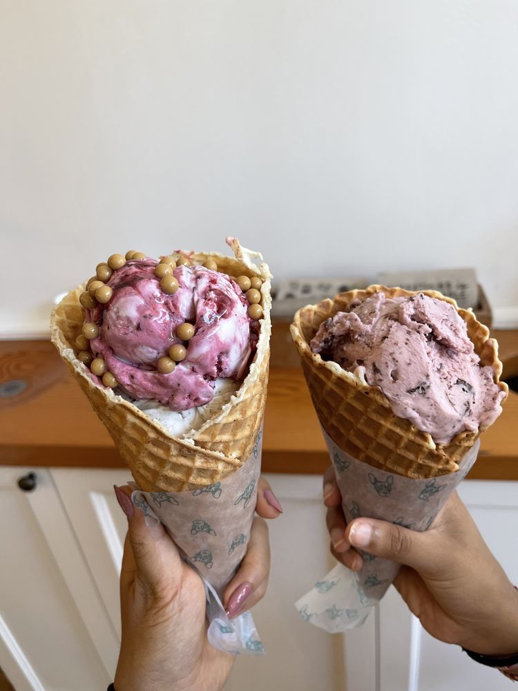 Molly Moon's Homemade Ice Cream